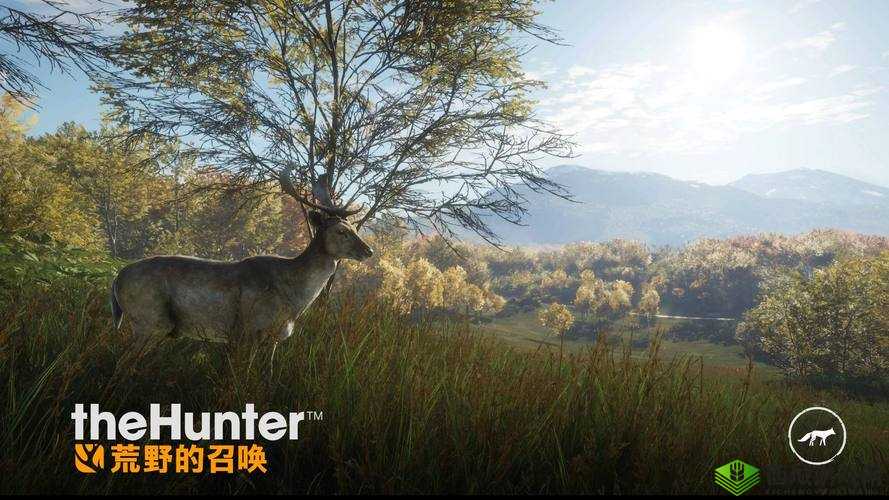 召唤与合成:挑战无限,跨越关卡解锁终极冒险秘籍:关于第35-50关卡的通关攻略分享