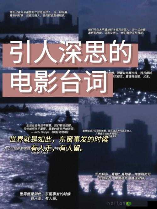 你把我弄完了还在那擦台词:情节引人深思
