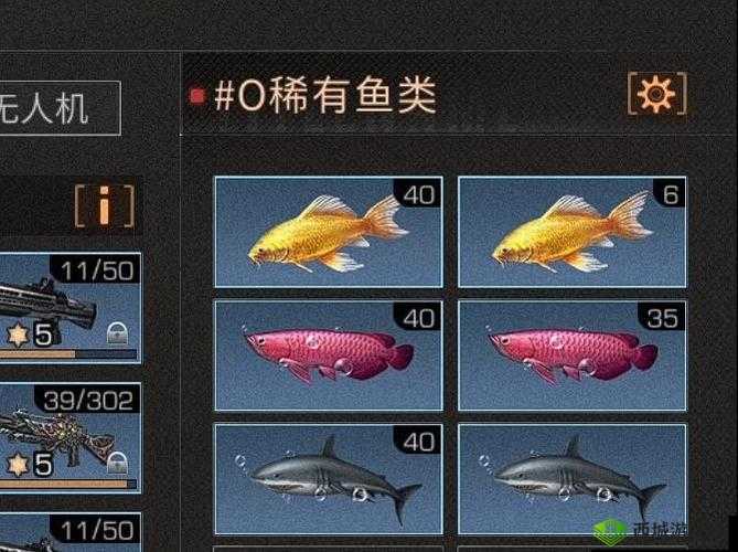 明日之后锦鲤相关:锦鲤价格及锦鲤金条价格全知晓