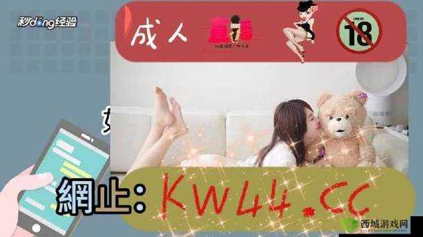 无人区一码二码三码是什么意思:深度解析
