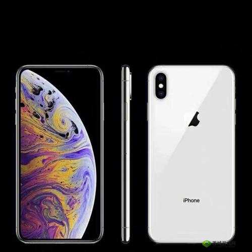 iPhonexsmax 欧美高级主播互曝猛料:大揭秘