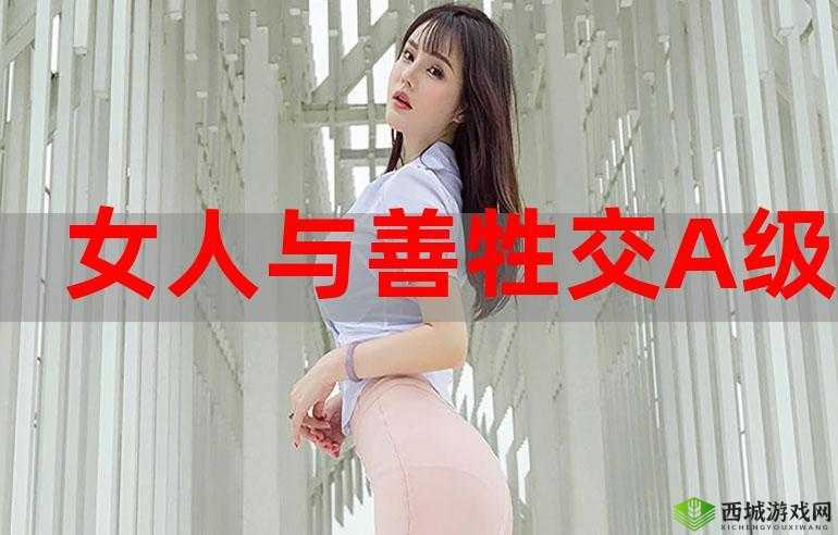 人与善交 XUANWEN18:以善交开启美好人生
