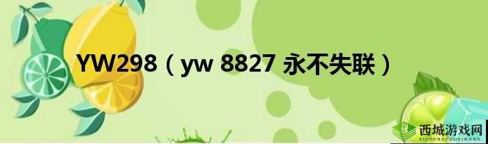 yw 永不失联国际 2024:开启全新征程
