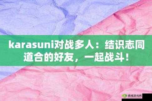 karasuni 多人对战视频破解了:在线畅玩