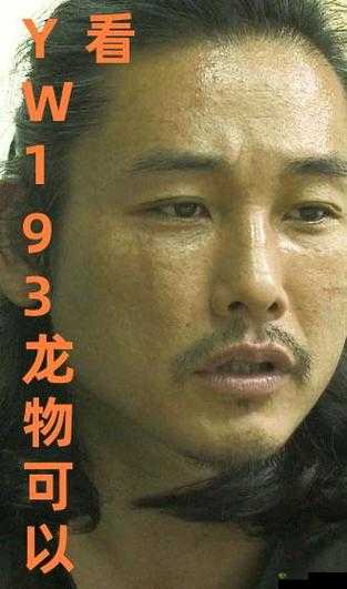 yw193龙物失联:探寻背后真相
