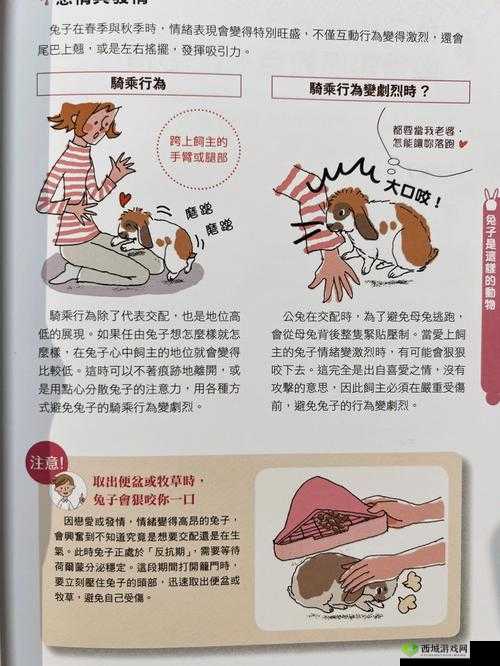 对象咬自己小兔兔:一种独特的感受