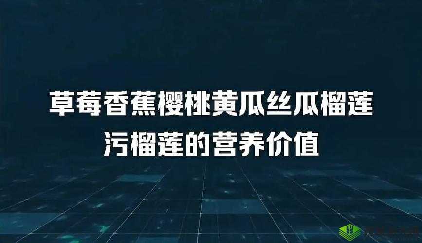 草莓榴莲黄瓜丝瓜蕾丝:蔬果与织物的奇妙组合