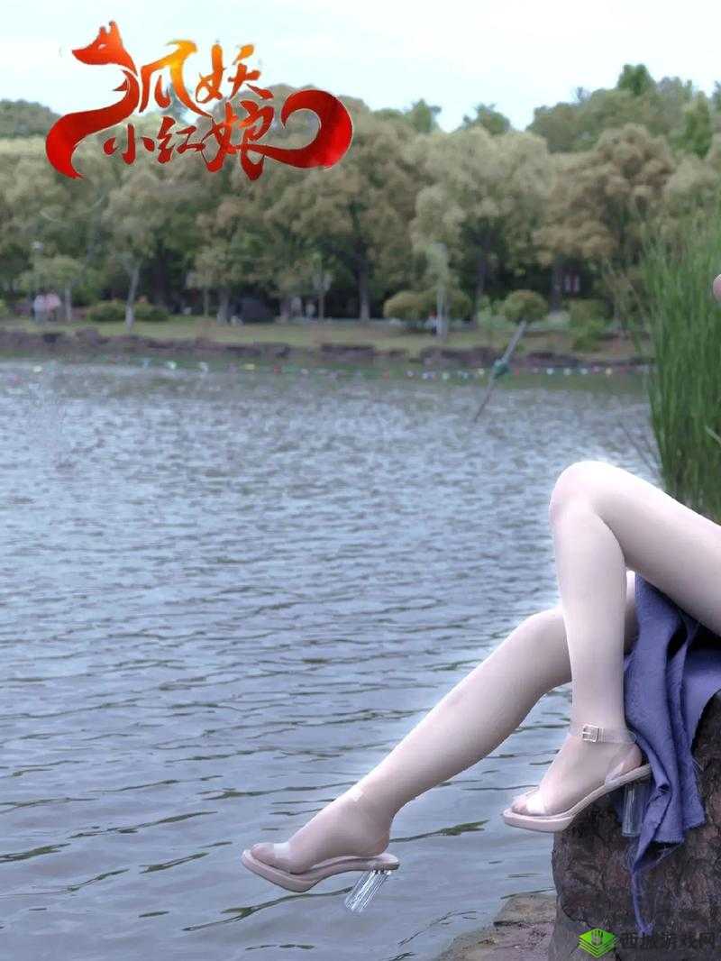 正片 65a33:精彩内容呈现