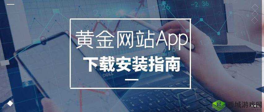 黄金网站 app 视频大全：海量精彩视频汇聚
