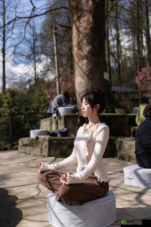 :王氏寺庙快活几天:一场独特的修行之旅