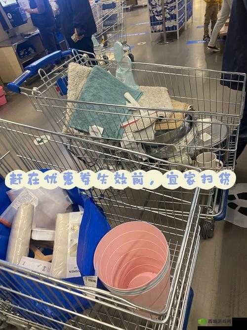小扫货能么多叫出来:实惠购物大揭秘
