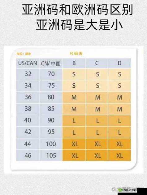 亚洲一码和欧洲二码的尺码区别:特点与差异