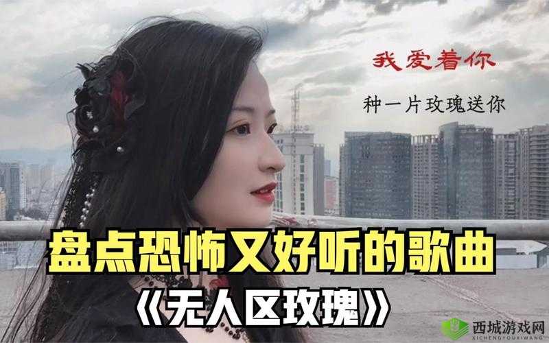 放一首无人区玫瑰,感受独特魅力