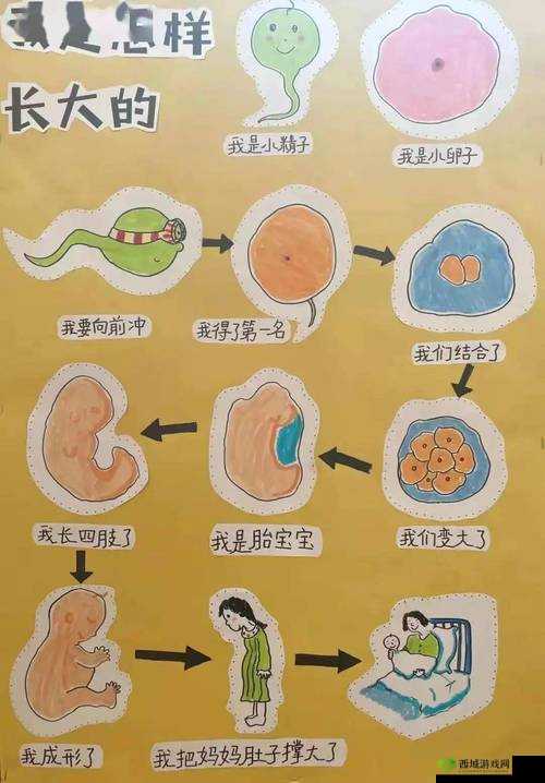 咪头:越吃越大怎么变小的奥秘