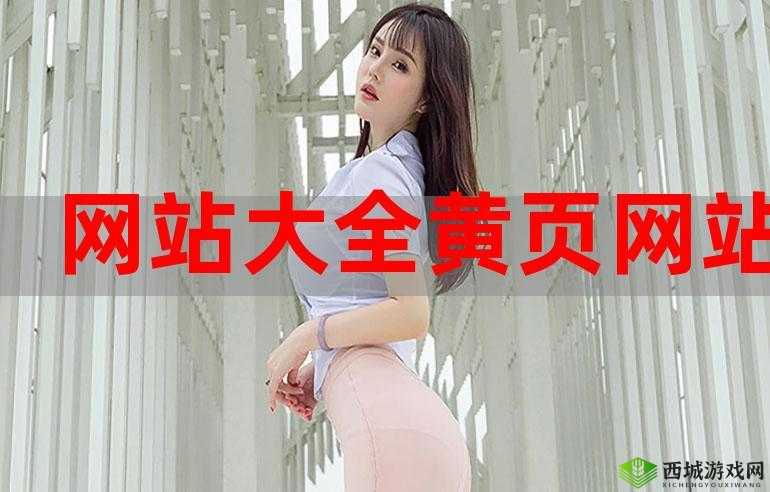 黄金网站 APP 视频大全:畅享海量精彩视频