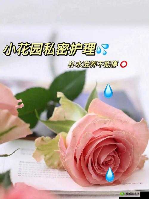 如何安抚自己的私密花园:安抚小花园的技巧和方法