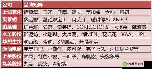 成品网源码 78w78:独特的代码特征