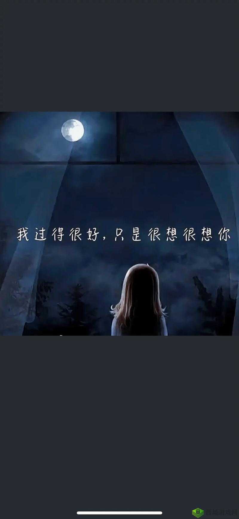我想你高清 MV 观看:无尽思念,触动心弦