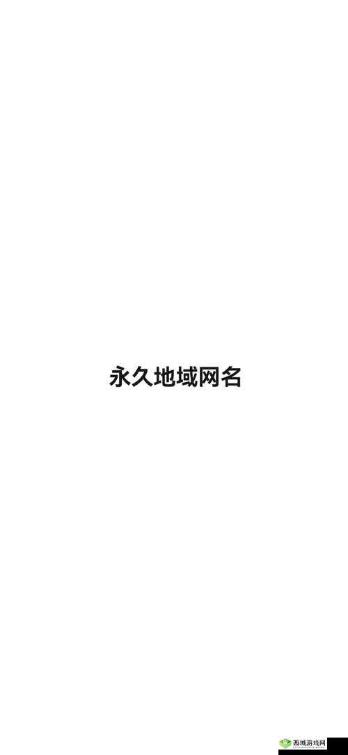 四库永久地域网名 2024:未来的独特标识