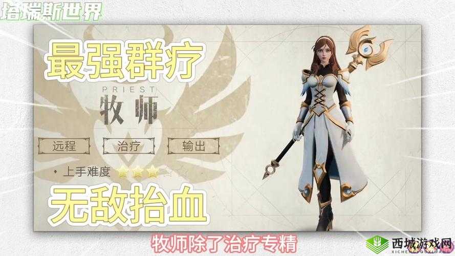 龙之谷手游战士与牧师职业对比攻略:深度探讨战士与牧师的优劣及选择策略