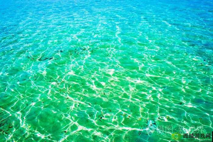 海角妈妈:充满生机的绿色海洋