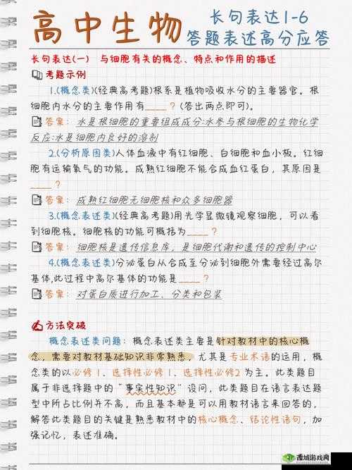 深入浅出 cv 表:带你探索其奥秘