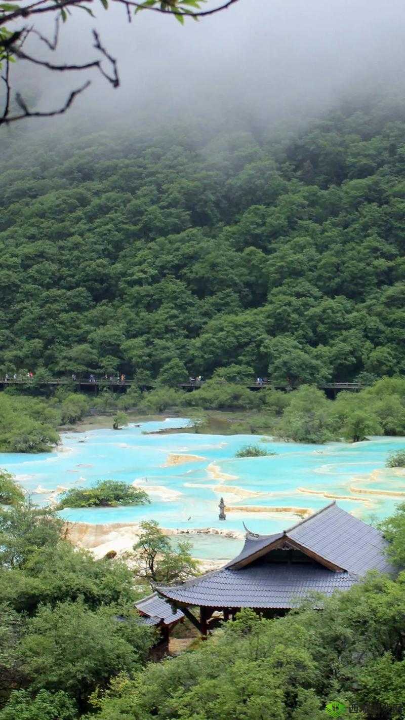 黄龙:直捣溪水潺潺的生态奇迹