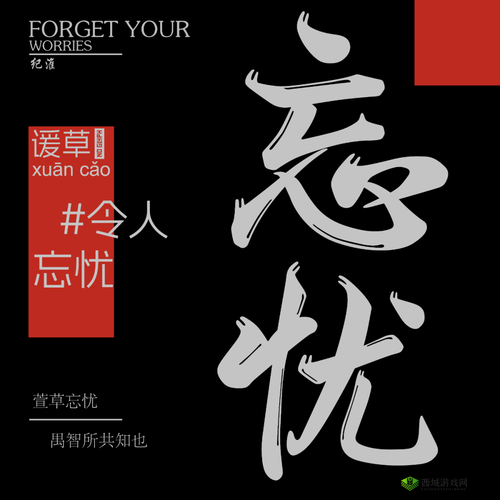 忘忧网在线观看免费视频,无需会员,免广告