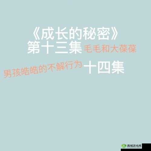成长的秘密:毛毛葆葆观察记录与成长点滴
