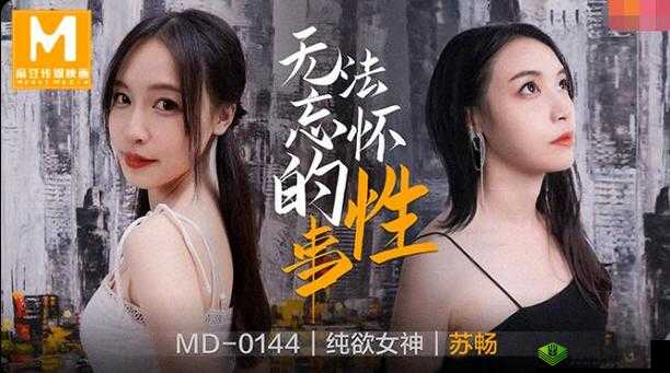麻花传 MD0190 苏畅:别样精彩故事