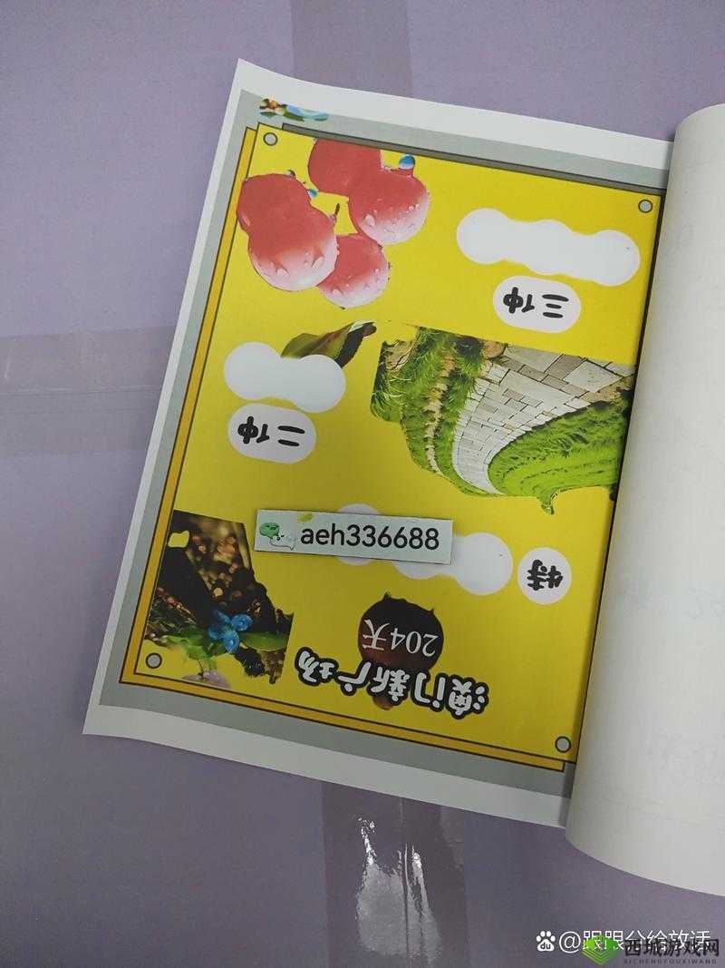 三叶草 fy3366 在线观看:精彩不断,等你来发现