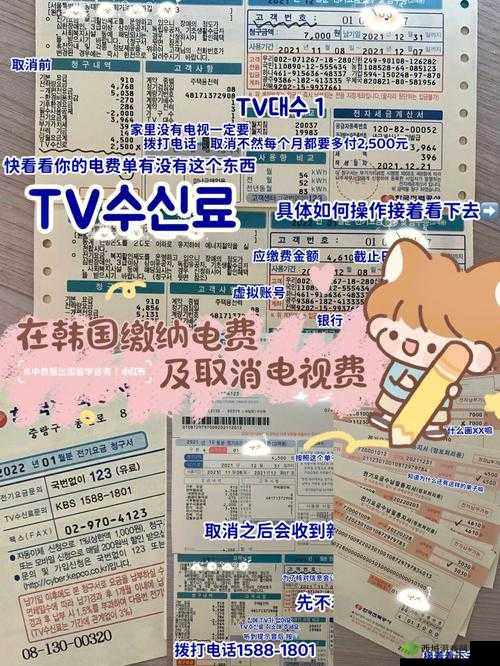 韩国三色电费 2024 免费吗?多少钱?