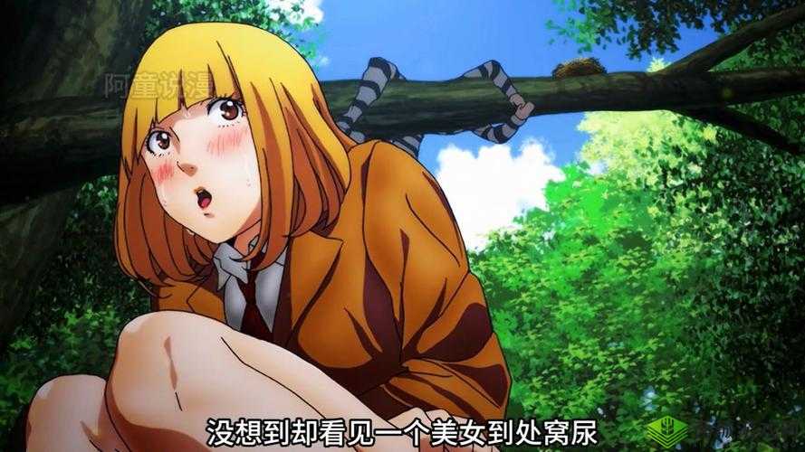 美女扒开尿孔久久久捅爽:极致刺激的私密体验