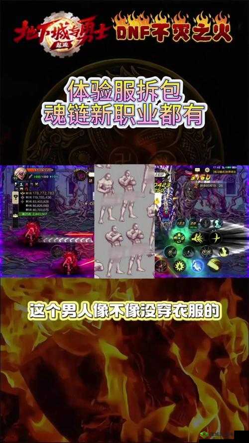 11 月 10 日:探究 DNF 外传职业缔造者主属性之谜