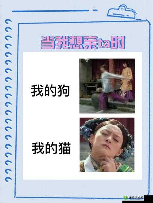 甄嬛传:宠物养成攻略,看这里