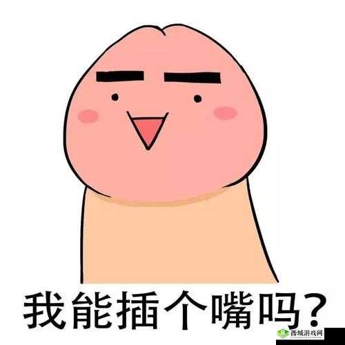 我可以插嘴吗无:关于是否可以插嘴的探讨