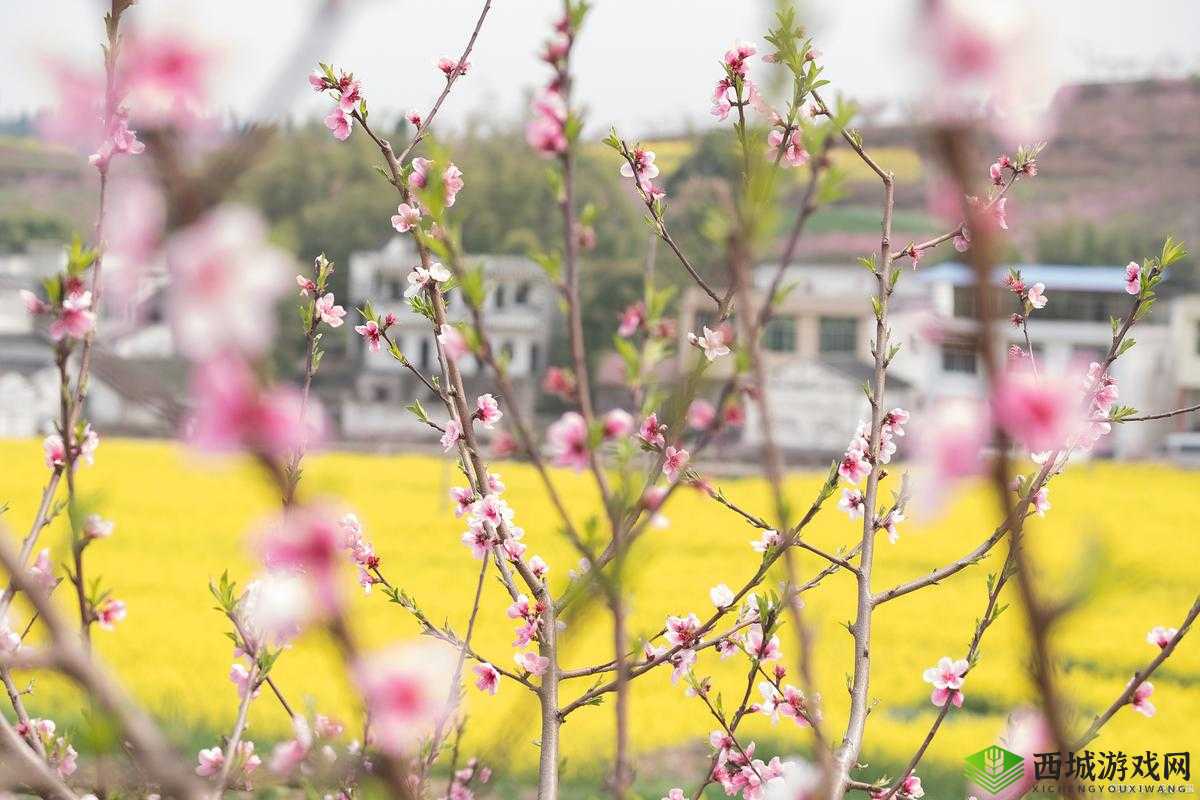 旅游换伴交流故事我是方便面:一段别样的旅程