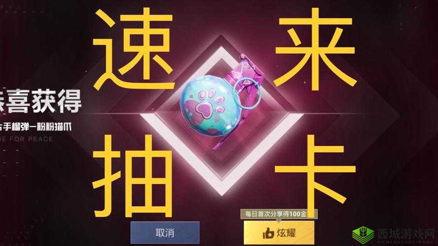 和平精英:粉粉猫爪升级之旅,皮肤6级所需费用揭秘
