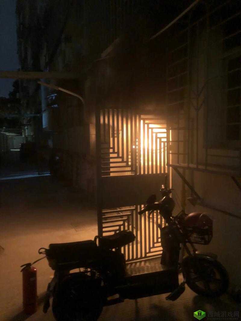 三更半夜外站 midnight:神秘时刻的探索