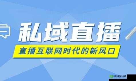 私域直播:开启线上营销新渠道