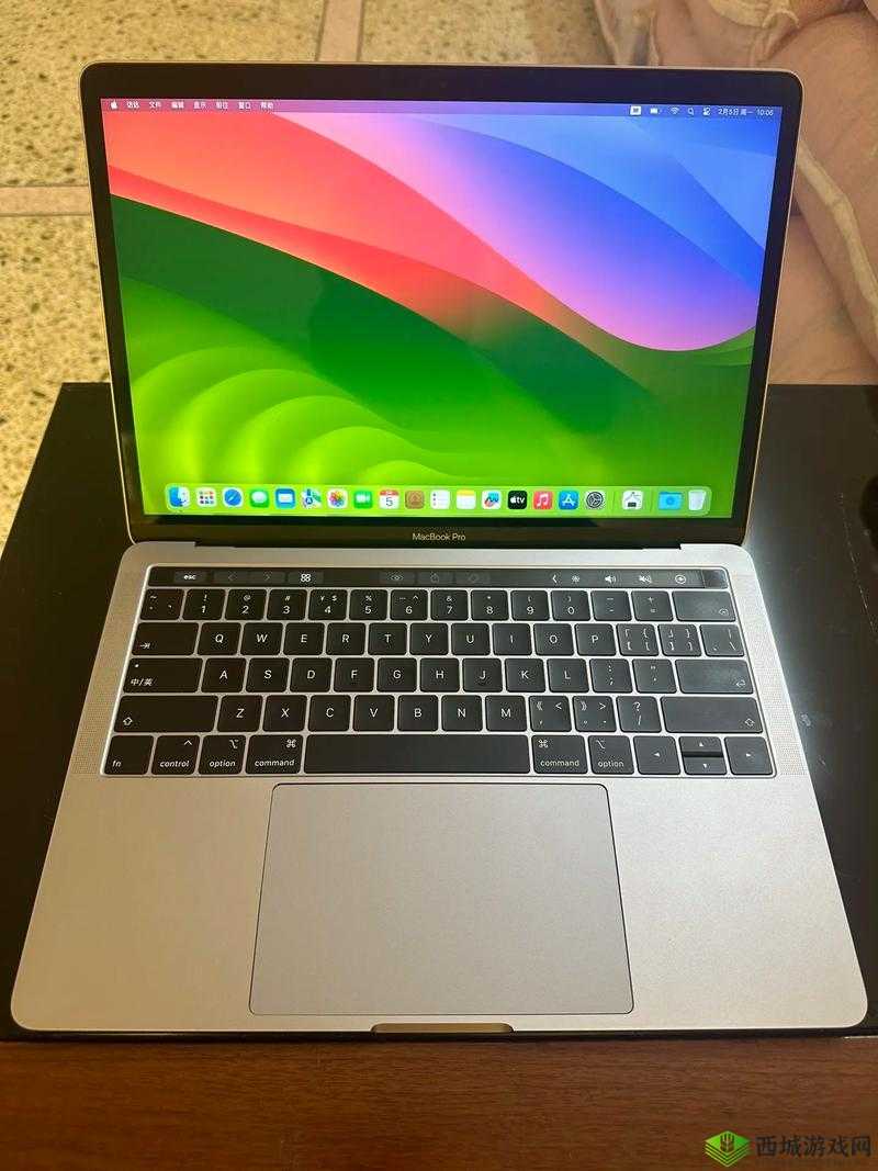 19 岁 macbookpro 日本:相关介绍