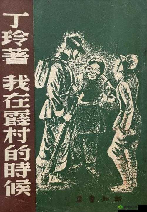《我在大清时代抗倭寇:帝国荣耀与战火传奇》