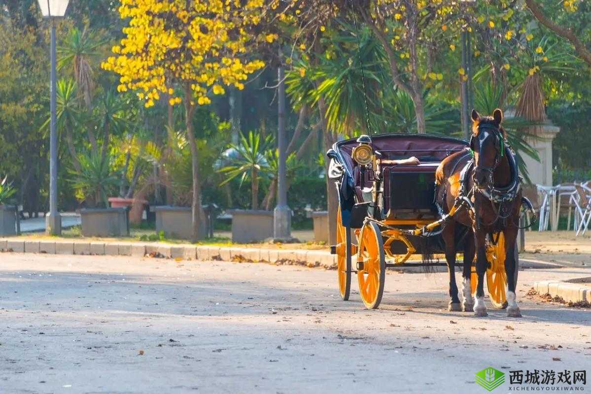 马车上的欢乐:一段愉快的旅程