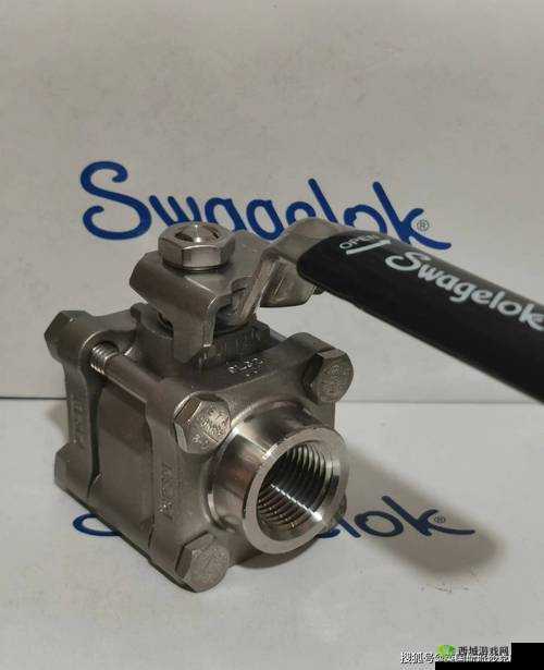 美国 SWAGELOK:优质阀门管件供应商