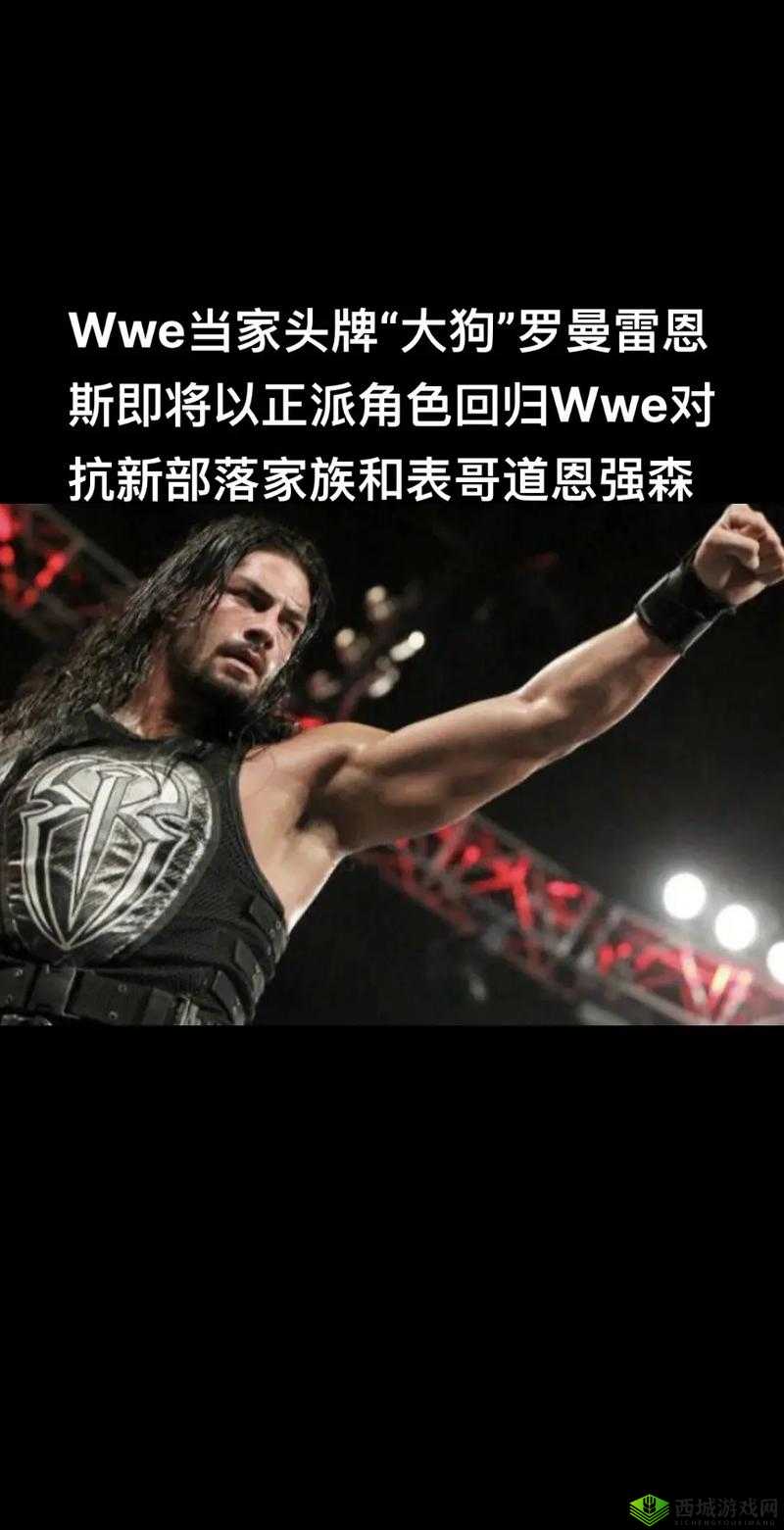 欧美另类Z0ZXXX在WWE:精彩对抗瞬间