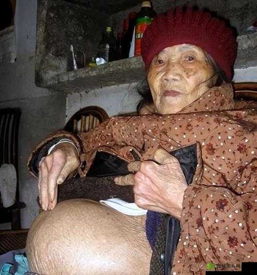 一级特黄老太婆大片:极具刺激的感官体验