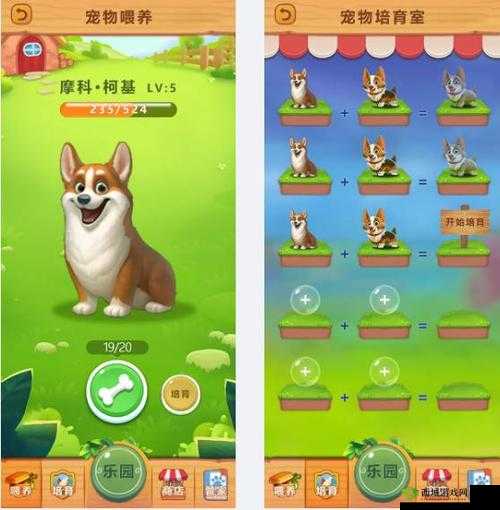 大话降魔攻略:宠物养成秘籍篇