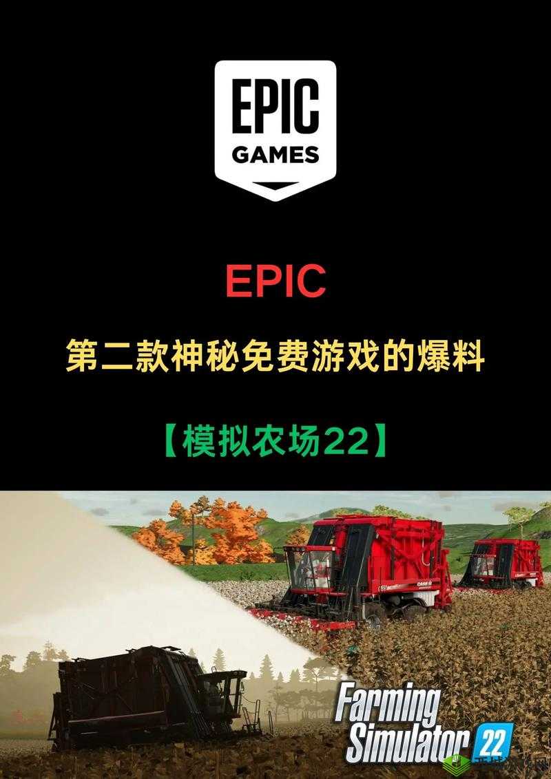 911 爆料网 github:一个充满神秘与争议的平台