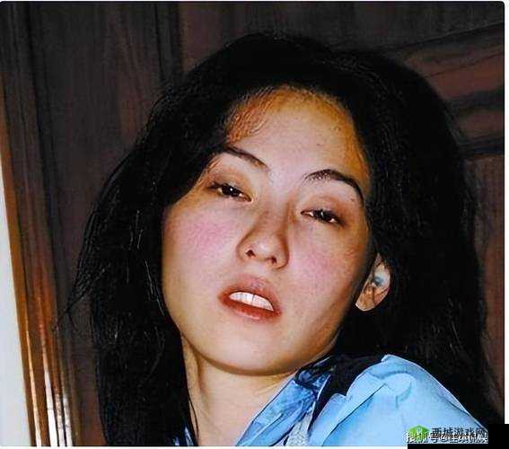 艳照门事件:张柏芝私密照片泄露引发的公众讨论