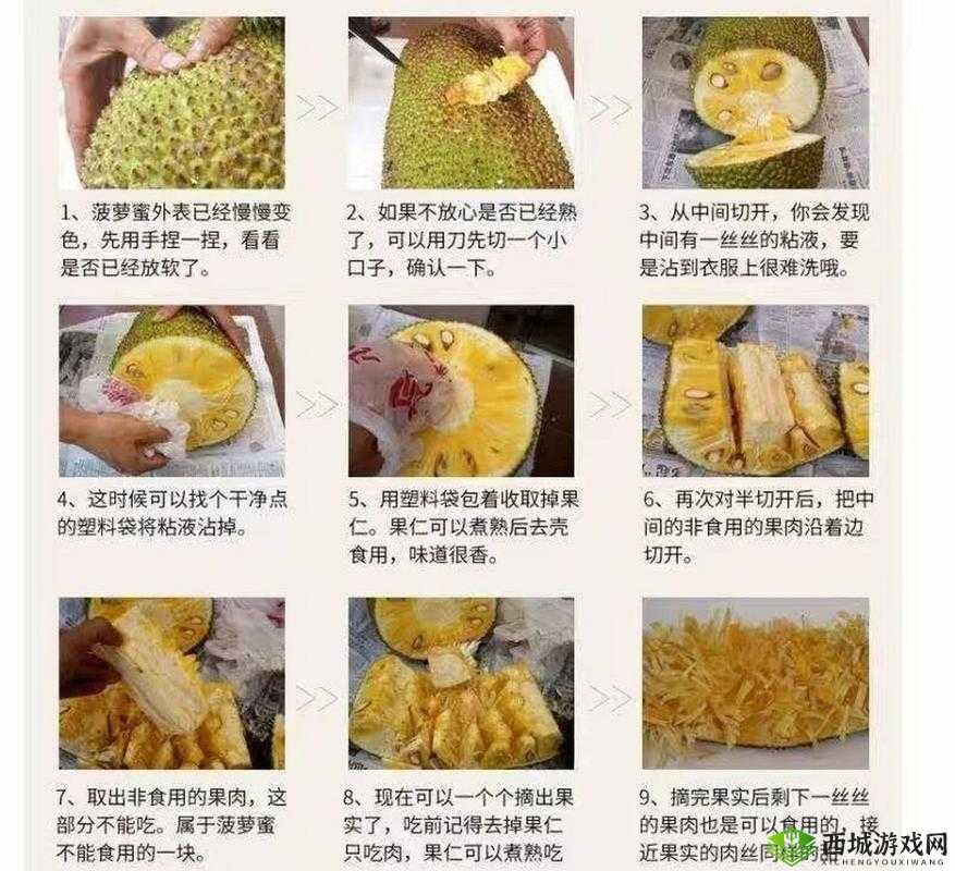www 菠萝蜜水蜜桃 :带你领略独特的水果世界风情